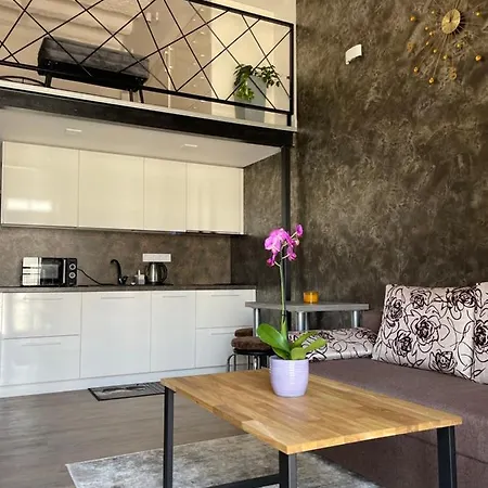 Radio City Loft Kaunas Eksteriør billede