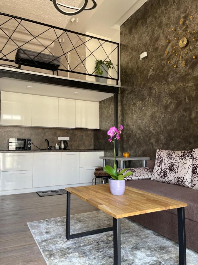 Appartamento Radio Loft Kaunas